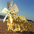 Creativity-Wind Bionic Robot