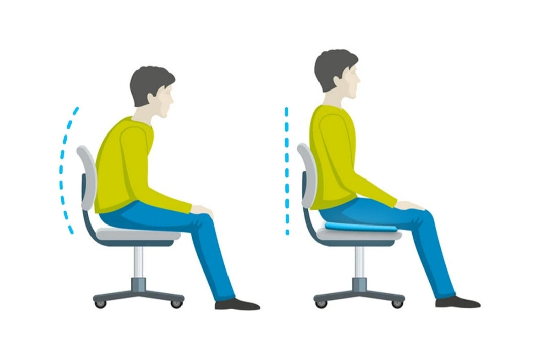 The Good Seat™ Premium Cushion for Back Pain