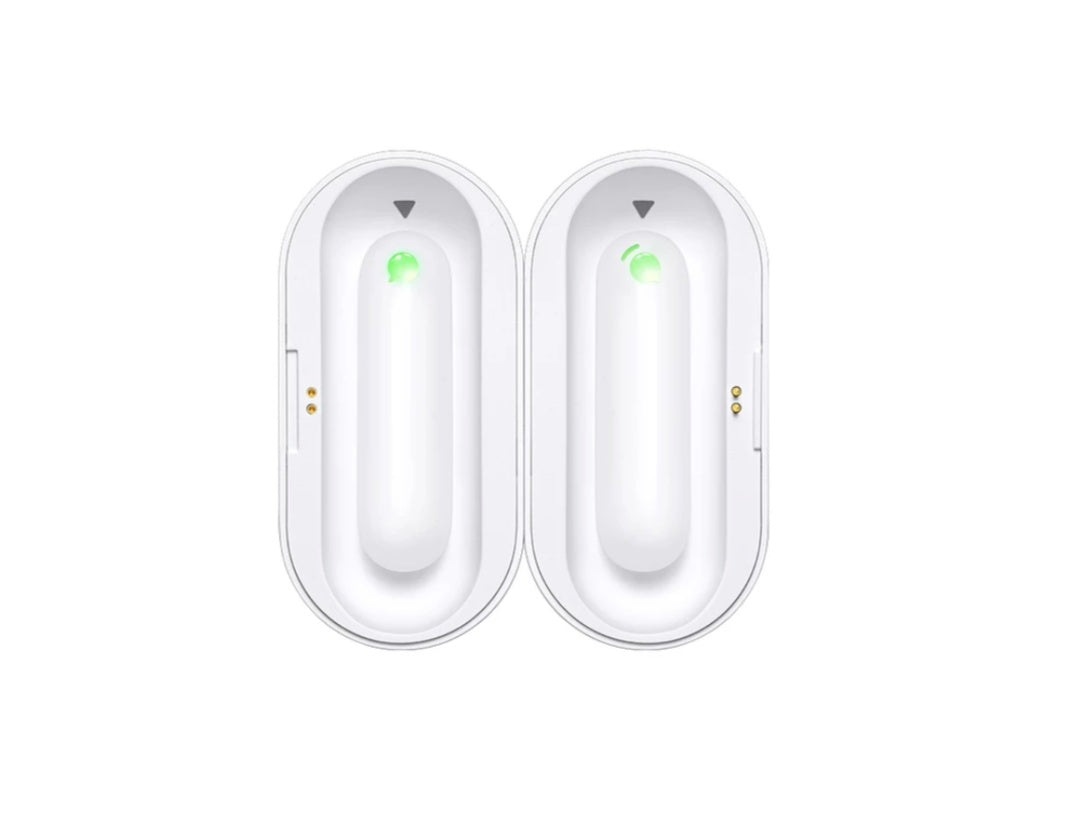 WT2 Plus Translator Earbuds