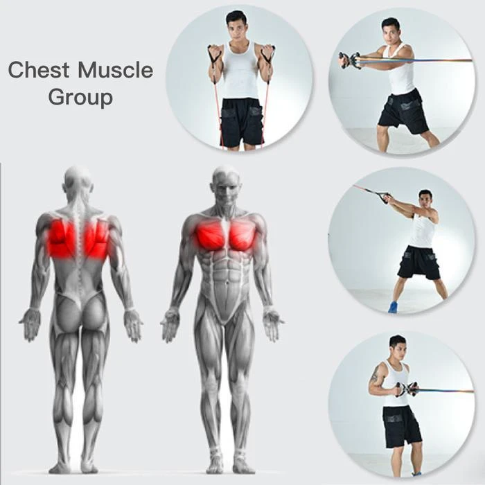 Resistance Band Set ( 11 Piece Set )