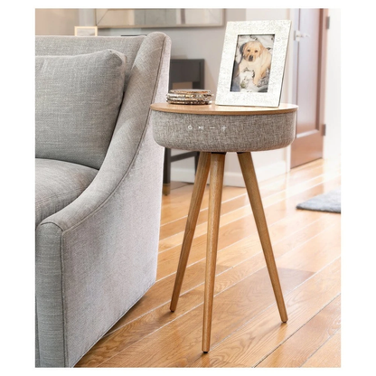 MERSENNE SPEAKER TABLE