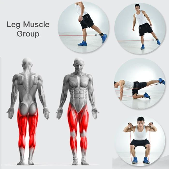 Resistance Band Set ( 11 Piece Set )