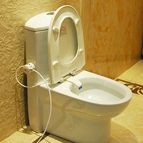 Bathroom Smart Toilet Seat Bidet Intelligent Toilet Flushing Sanitary Device