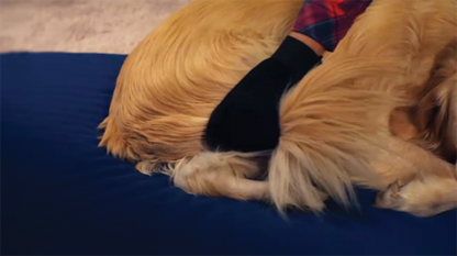 True Touch Pet Deshedding Glove As Seen On Tv
