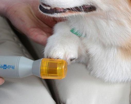 The Incredible Pet Nail Trimmer Pedi Paws