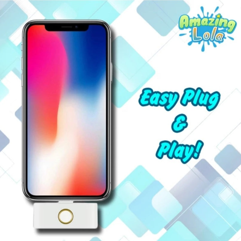 External HOME Button and Dual Port Adapter