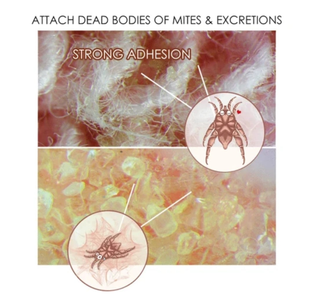 NATURAL MITE KILLER 2 PCS