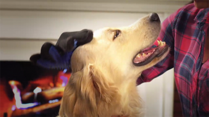 True Touch Pet Deshedding Glove As Seen On Tv