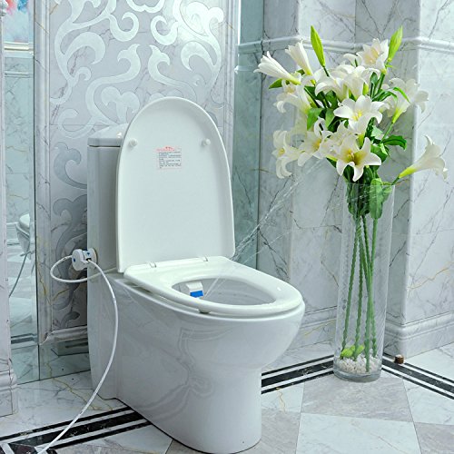 Bathroom Smart Toilet Seat Bidet Intelligent Toilet Flushing Sanitary Device
