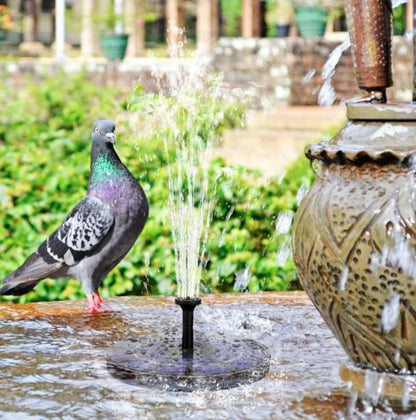 SOLAR-POWERED FOUNTAIN KIT FOR YOUR GARDEN!