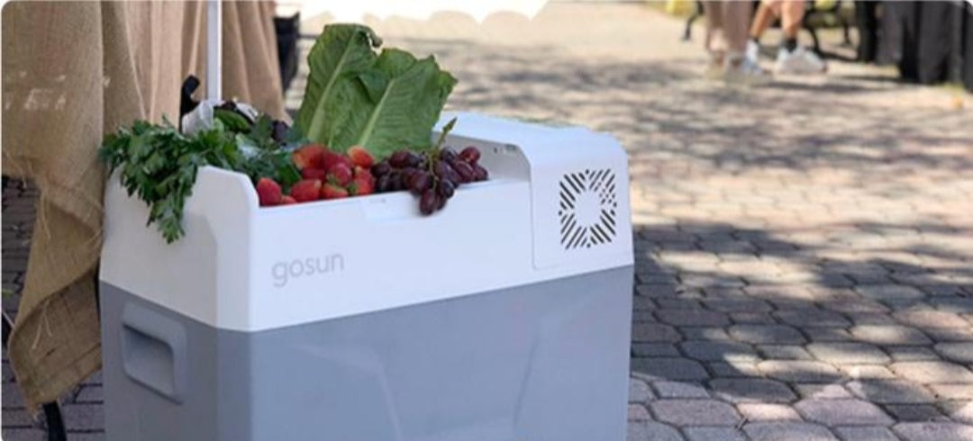 The World’s First Solar Cooler That Doesn’t Need Ice