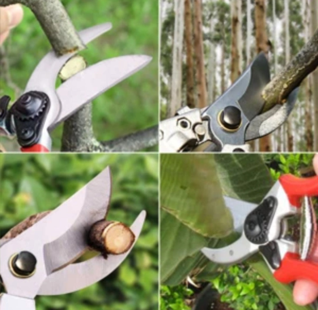 Electric branch scissors-Make Your Gardening Work Easy