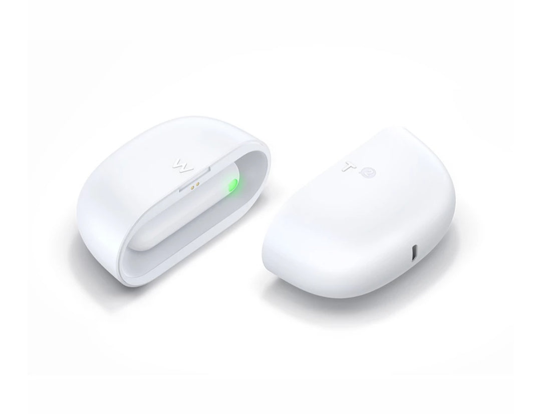 WT2 Plus Translator Earbuds